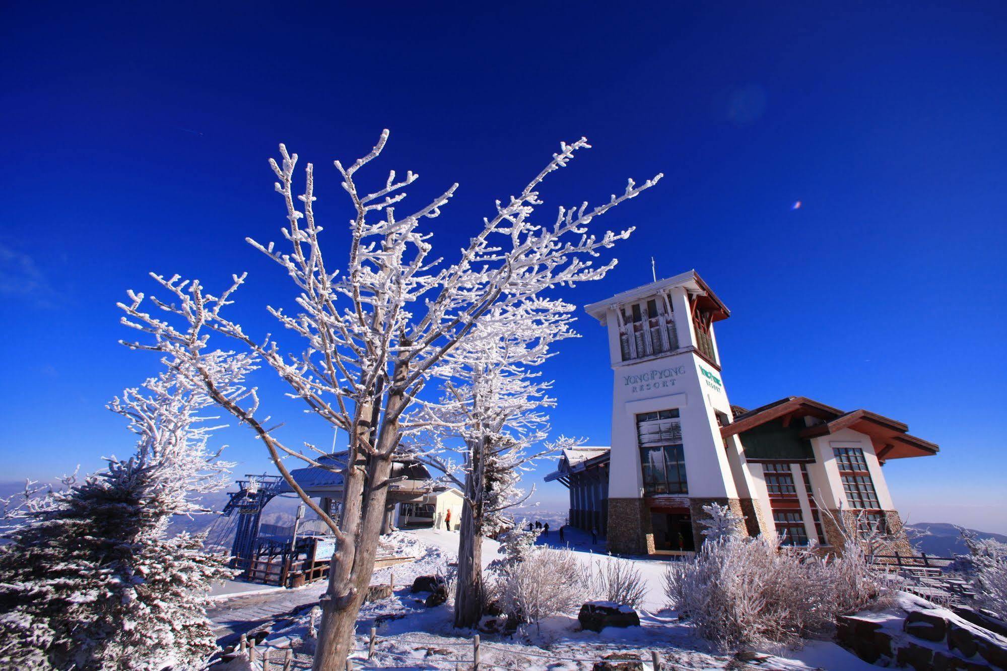 Yongpyong Resort - Tower Condo Pyeongchang Esterno foto